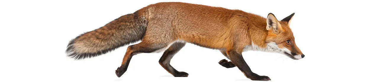 Fin Finaud développe Casserole.pro, un logiciel de gestion de projets pour agences, architectes et ingénieurs. Suivi des heures, rentabilité et facturation en un seul outil. Essayez-le dès maintenant !.